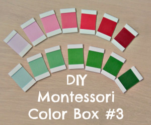 DIY Montessori Color Box #3